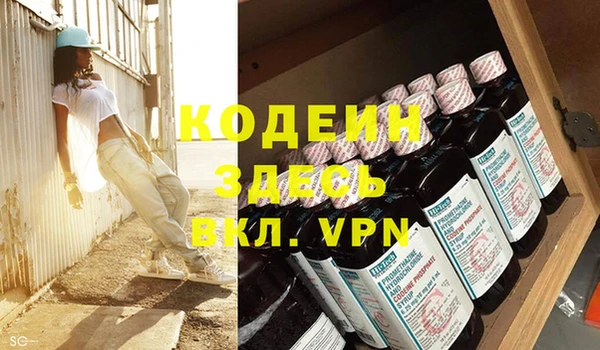 прущие грибы Мегион