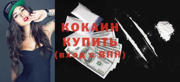 прущие грибы Мегион