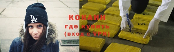 прущие грибы Мегион