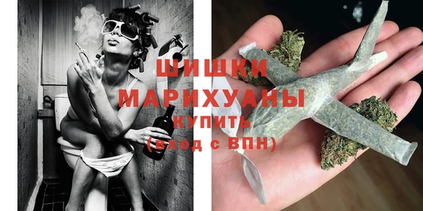 прущие грибы Мегион