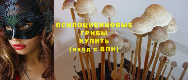 герыч Михайловск
