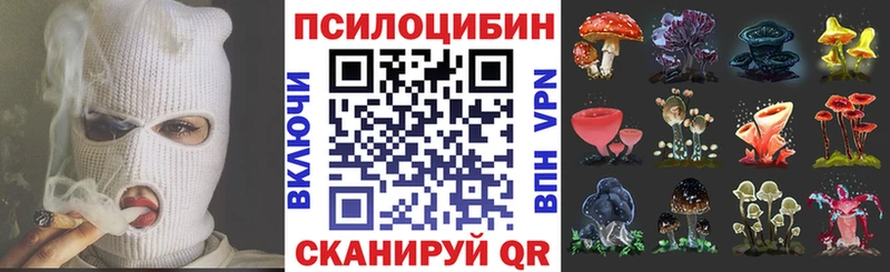 Галлюциногенные грибы Psilocybine cubensis  Феодосия 